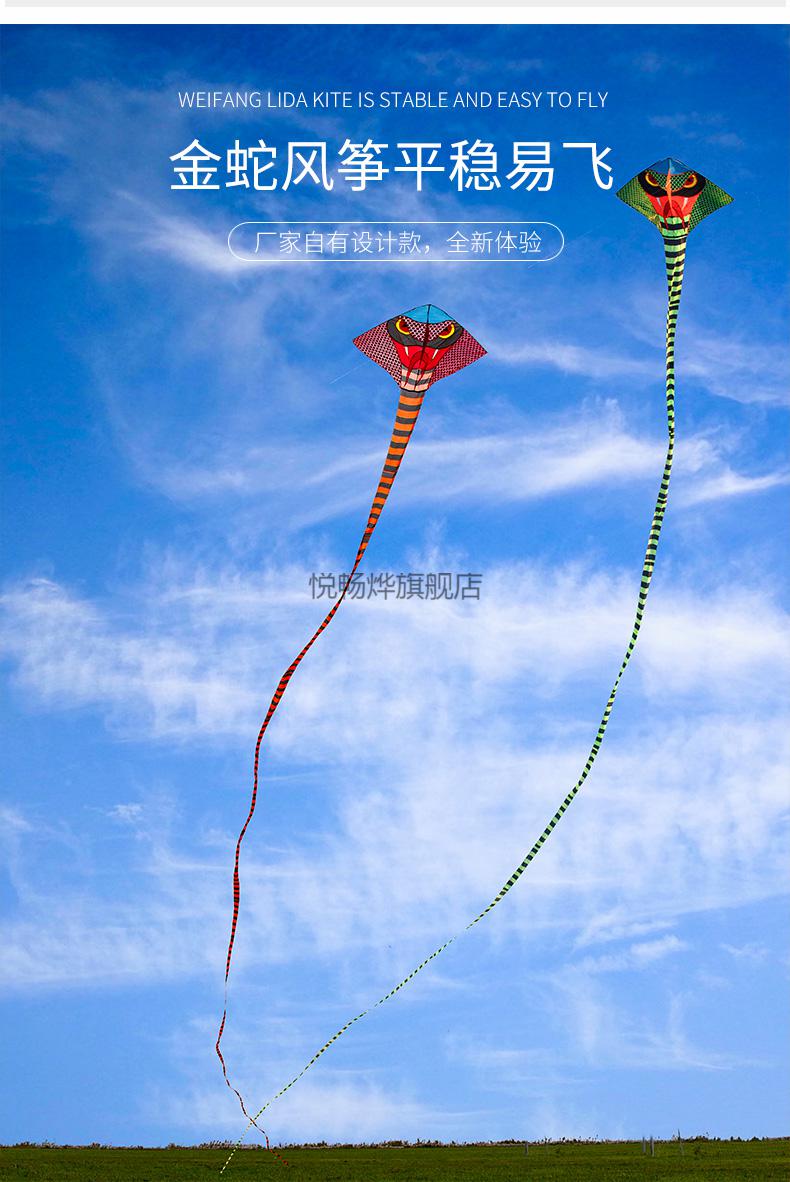 2022新款风筝长串式 丽达潍坊风筝成人大型可用2022三角超长尾微风