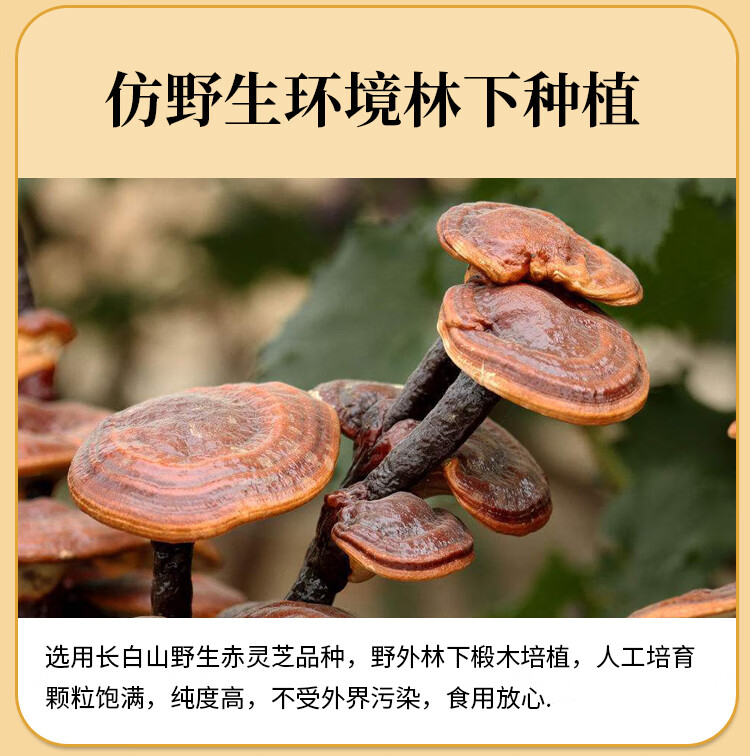 8f1b51493ca710ad.jpg