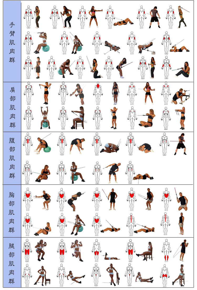 多功能拉力绳一字胸肌臂力肌肉训练锻炼弹力绳阻力带男女健身器材 n