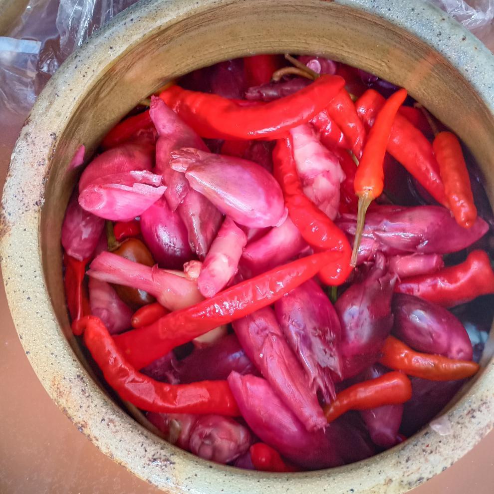 洋荷姜 多规格 腌制下饭菜 洋合洋火姜 阳何新鲜 泡酸阳荷姜 250g