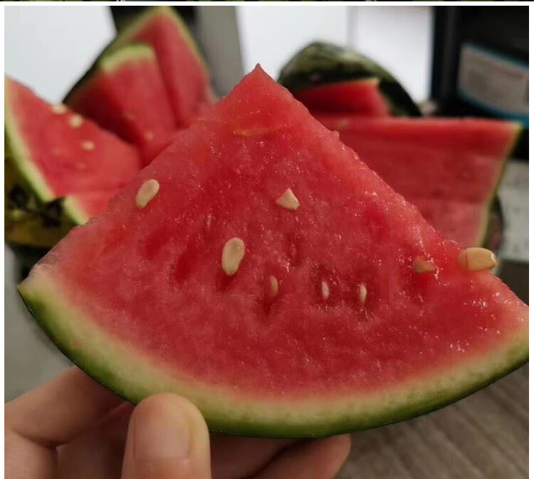 甘美战神西瓜麒麟瓜无籽海南甜西瓜10斤新鲜水果西瓜礼盒应季节 5000g