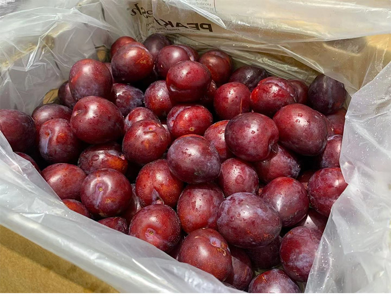 jd速运鸡心李新鲜当季水果黑布林李子2斤精品果