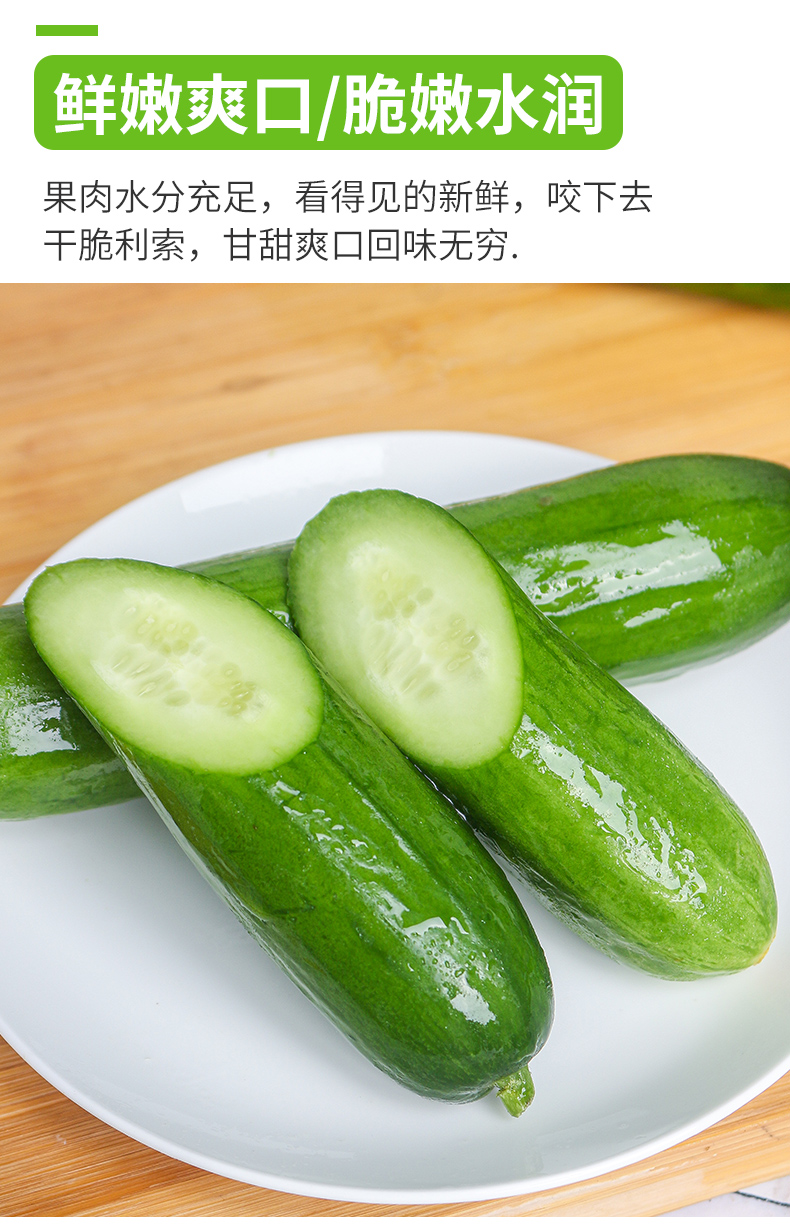 水果黄瓜新鲜生吃当季整箱5斤小青瓜应季蔬菜孕妇即食5斤