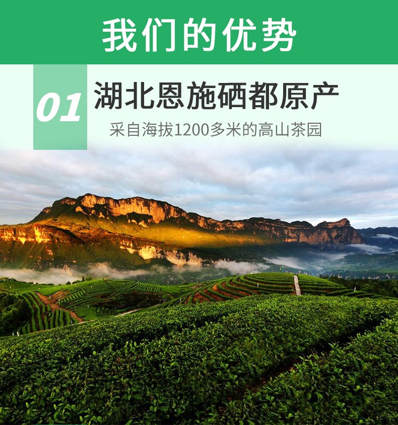 夷茗春季绿茶茶叶充足日照高山云雾茶湖北恩施硒茶250g3袋硒茶750克