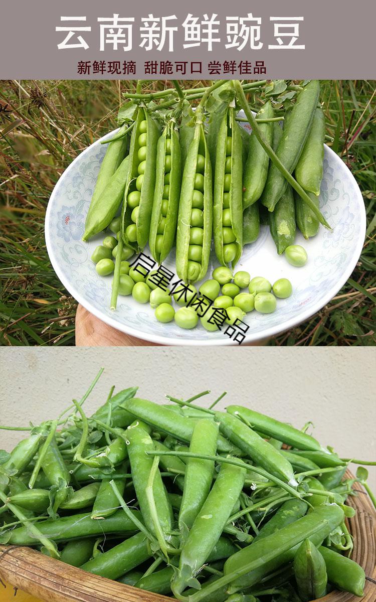 雲南新鮮豌豆甜脆豌豆水果豌豆青豌豆甜豆農家種植現摘現發5斤裝1斤