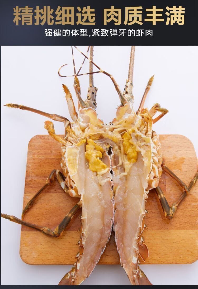 小青龙虾鲜活冷冻冰鲜青龙虾冷冻大龙虾新鲜小青龙海鲜500g2只2斤34只
