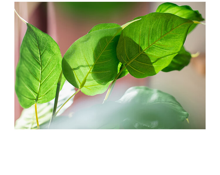 掬涵菩提叶垂吊枝叶仿真花绿植新中式佛系国风古风日式禅寓意装饰菩提