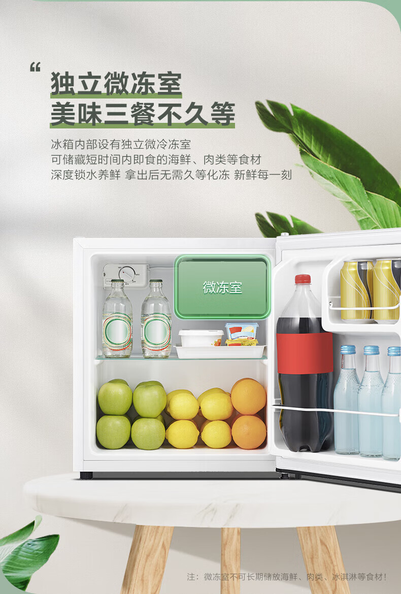 容声(ronshen)45升小型迷你单门电冰箱一级节能低噪家用公寓宿舍租房