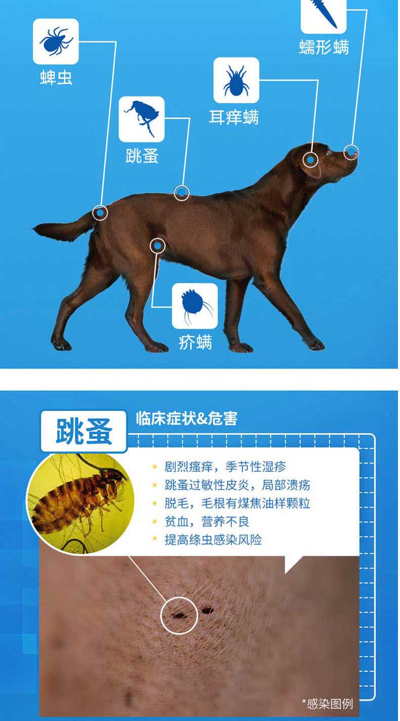 超可信狗狗體內外同驅一體狗驅蟲藥去蜱蟲體外除跳騷單粒內服 5g