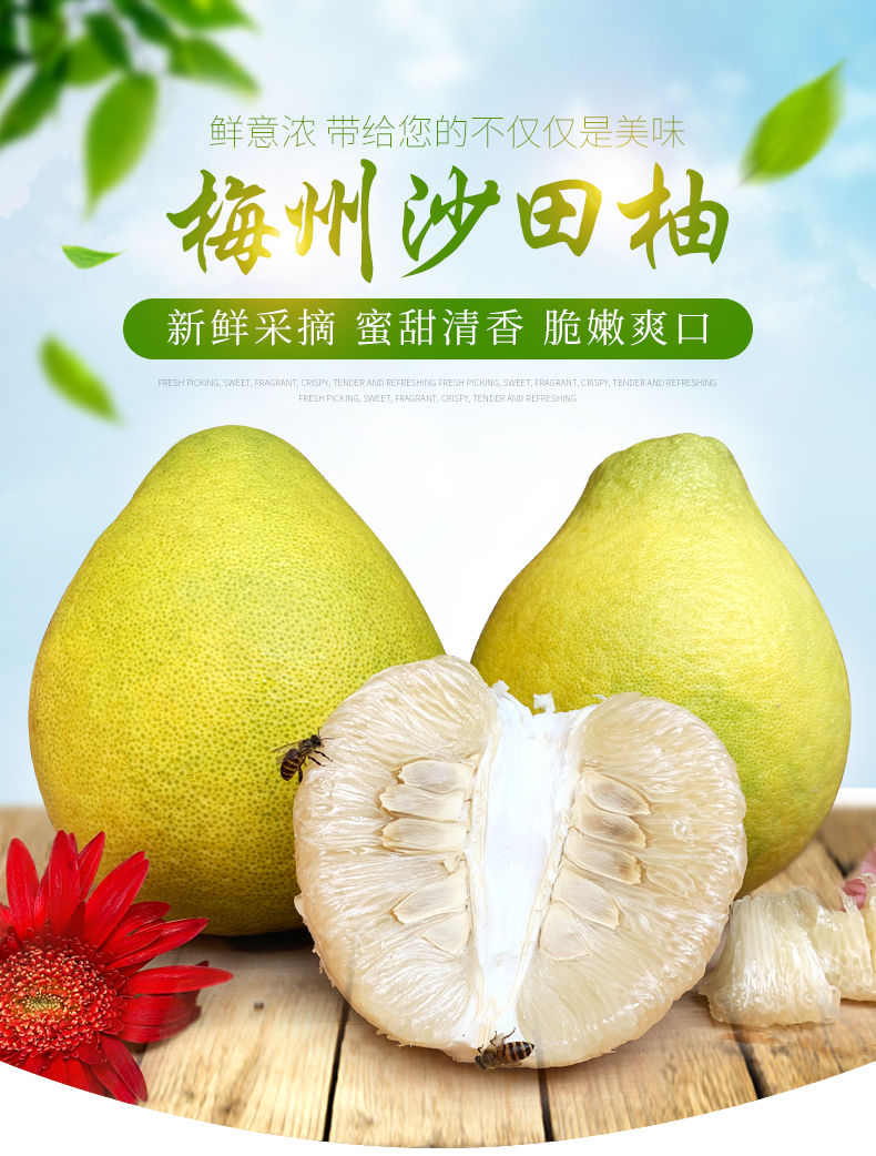现货正宗梅州沙田柚白心柚子梅县金柚新鲜孕妇当季水果多规格 1个装