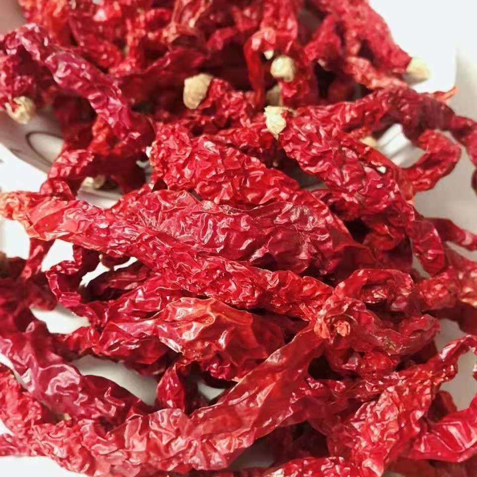 (贵州特产)自晒干皱皮辣椒长辣椒二荆条红辣椒干辣椒中辣特香250g 2斤