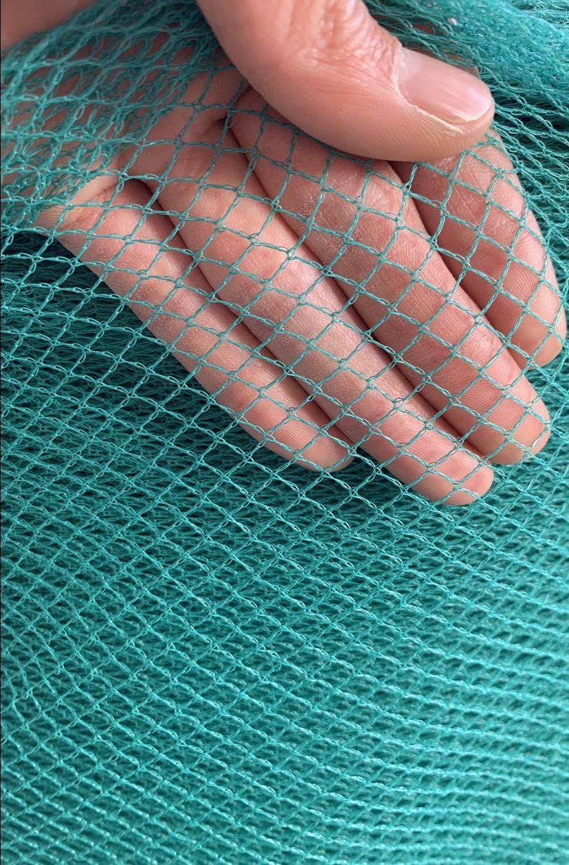 鸡围网塑料网庭院果树防鸟网渔网核桃网无结网05厘米网眼1米2宽10米长