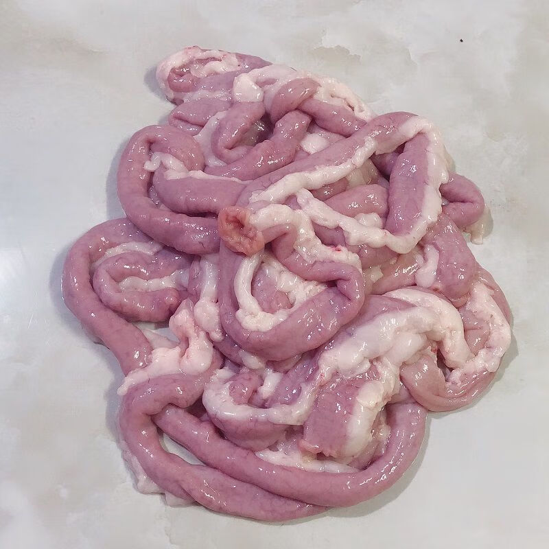 阿豪人家猪天天新鲜人家猪土货带油猪粉肠猪小肠苦肠 发本广东省1斤