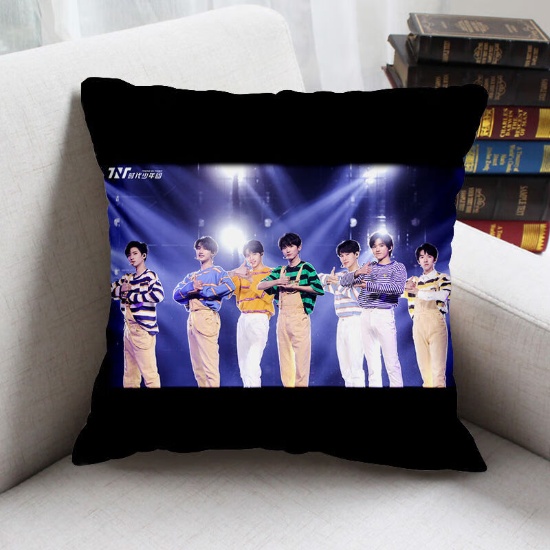 花仟陌tnt时代少年团粉丝周边应援抱枕床上卧室沙发枕头办公室靠枕mo