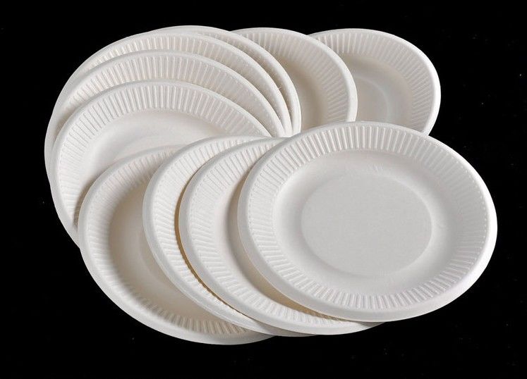 一次性纸盘子幼儿园手工dly画画绘画盘子纸碟子蛋糕餐盘烧烤纸盘 5寸