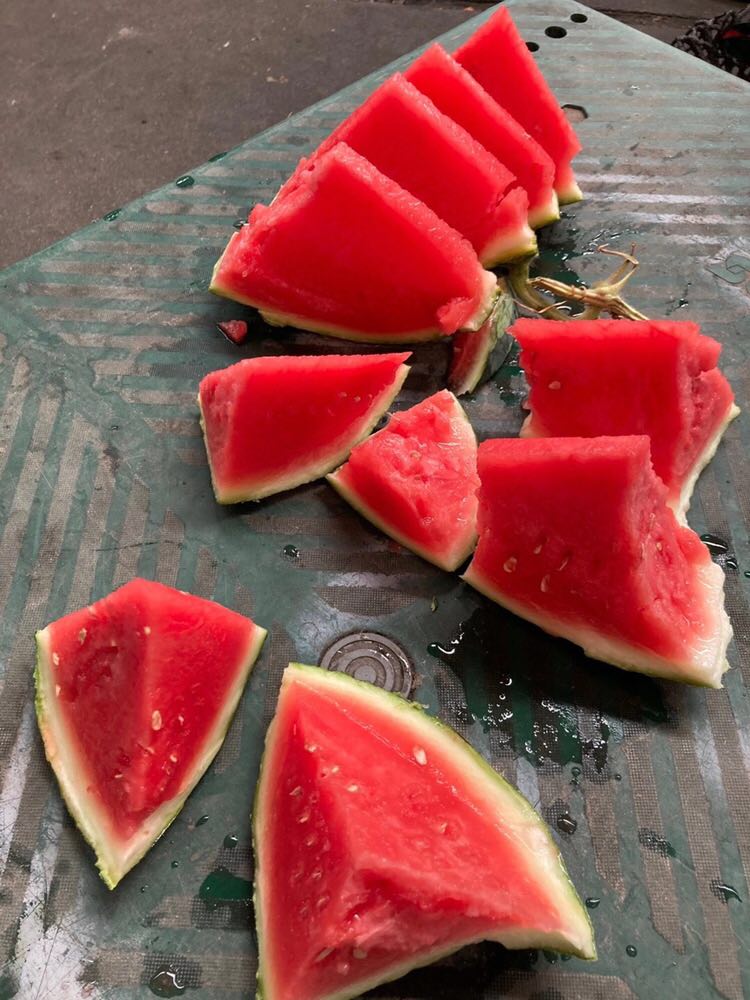 翡翠蒂西瓜2只装超甜汁水分足新鲜采摘口感甜蜜约15斤左右整箱年货