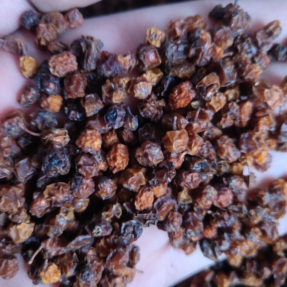 上用 官方旗舰250克 官方旗舰沙棘果【图片 价格 品牌 报价】