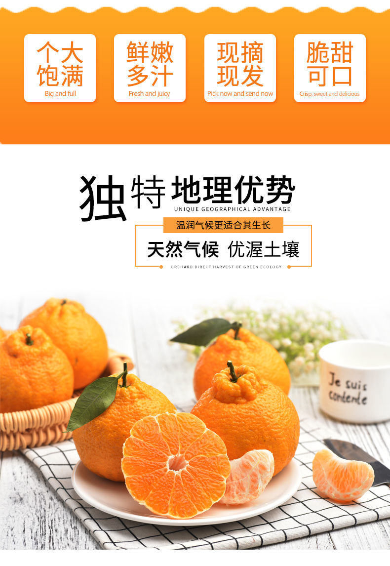 雪域恩泽四川不知火丑橘桔子新鲜应当季孕妇水果丑八怪丑耙耙柑批发