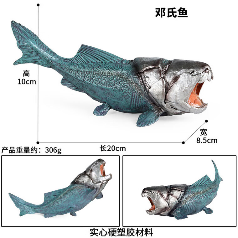 巨齒鯊模型超大硬塑pvc史前旋齒鯊巨齒鯊滄龍鄧氏魚模型巨牙鯊男孩