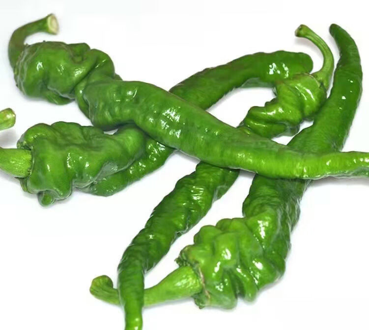 现摘新鲜辣椒微中辣螺丝椒批发青椒特辣薄皮青尖椒皱皮椒线椒蔬菜螺丝