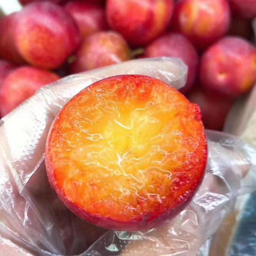 当季美国樱桃李蜂糖李樱桃李新鲜水果 1500g【图片 价格 品牌 报价】