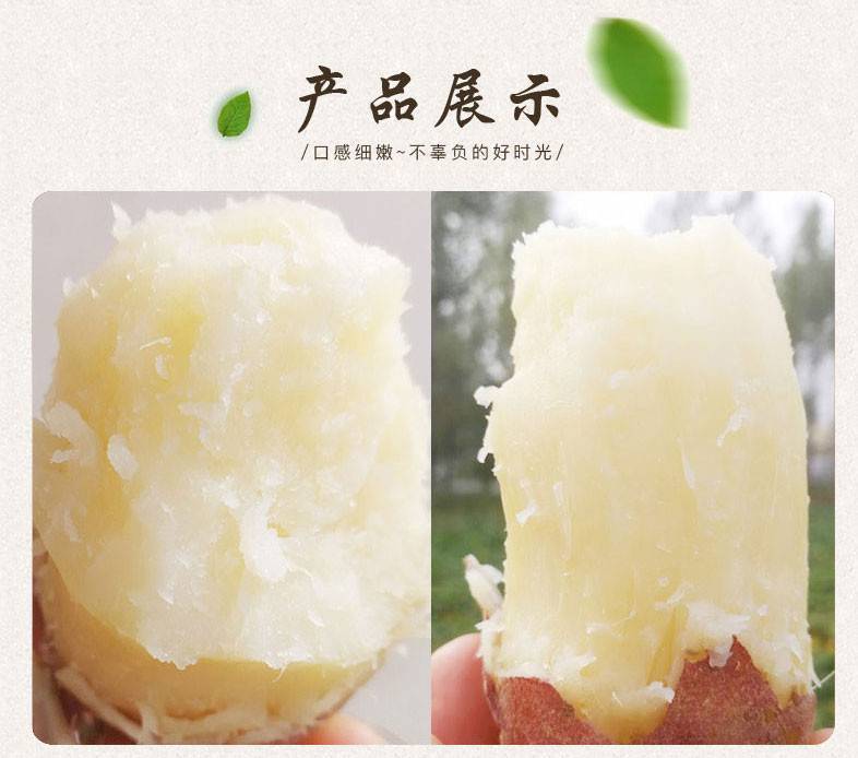 哈密红薯白蜜薯冰糖心红薯蜜薯新鲜地瓜白心白瓤番薯35斤3斤哈密薯