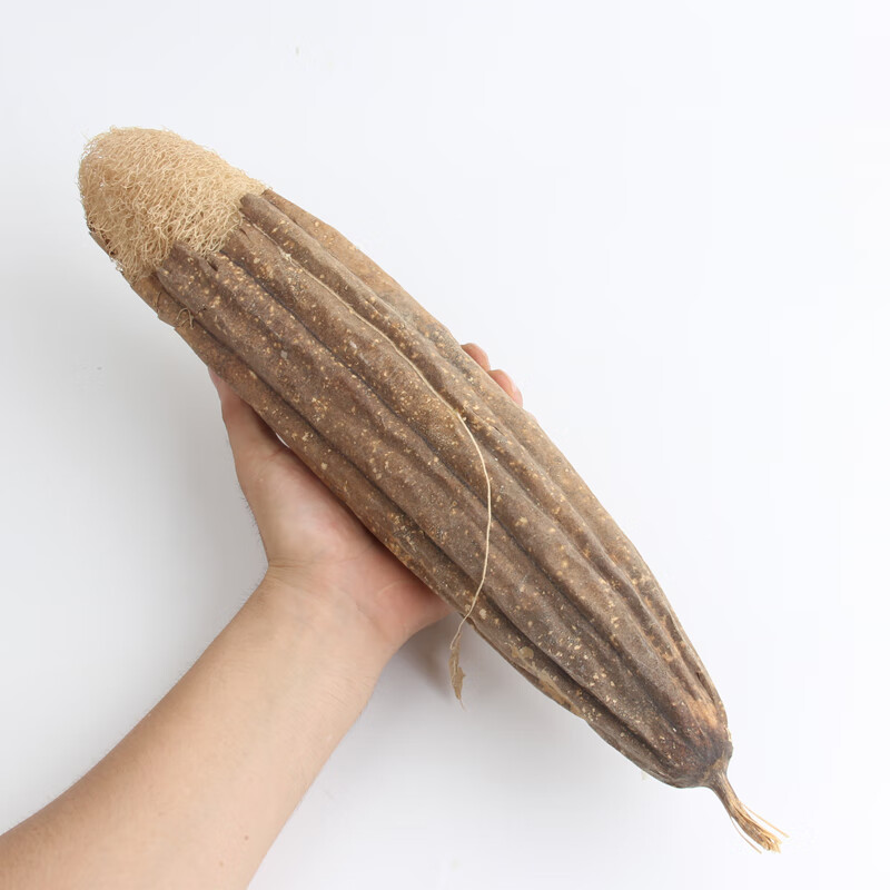 生态同款丝瓜瓤 带皮老丝瓜络煮水喝中药材下奶干丝瓜泡茶泡水食用