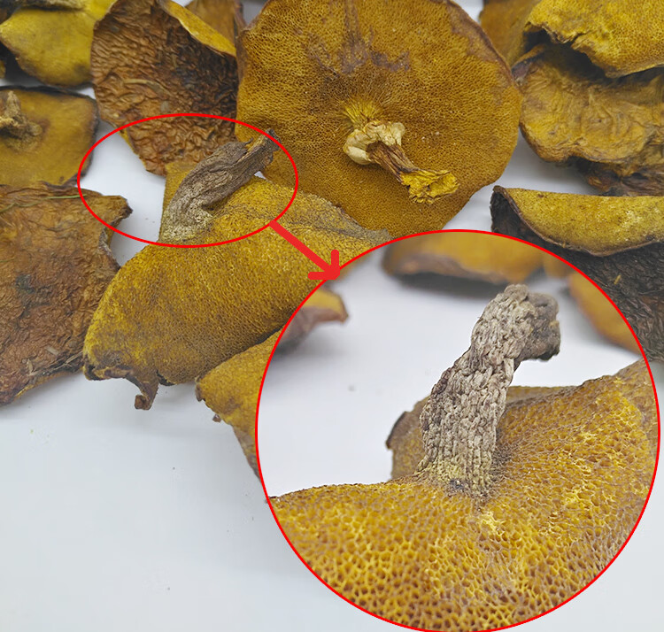 松树蘑干货500g黄粘团子 野生蘑菇东北特产松蘑菇松菇粘蛾子 新货