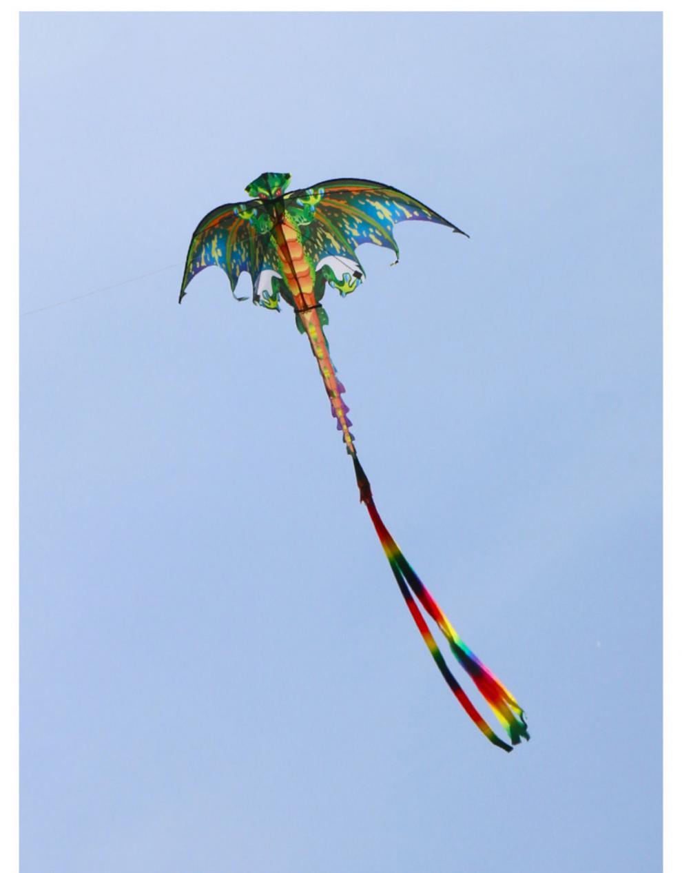 恐龙风筝大人专用大型翼龙儿童卡通微风易飞新手潍坊新款 红色翼龙22