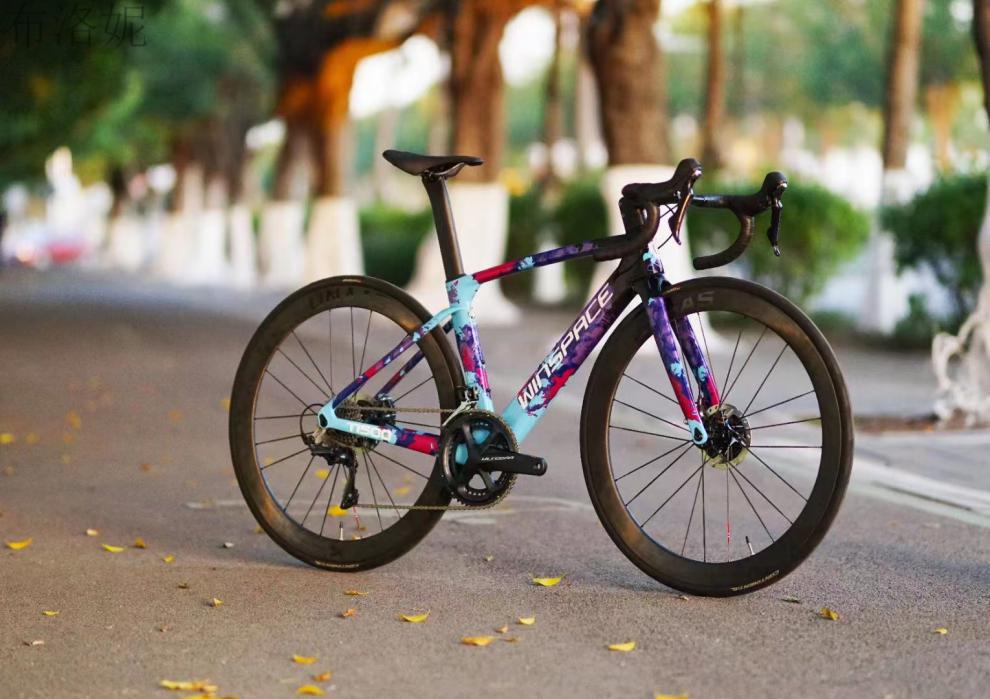 银贝斯公路车d 银贝斯公路碟刹 碳纤维车架组 全内走 可选配一体把 t