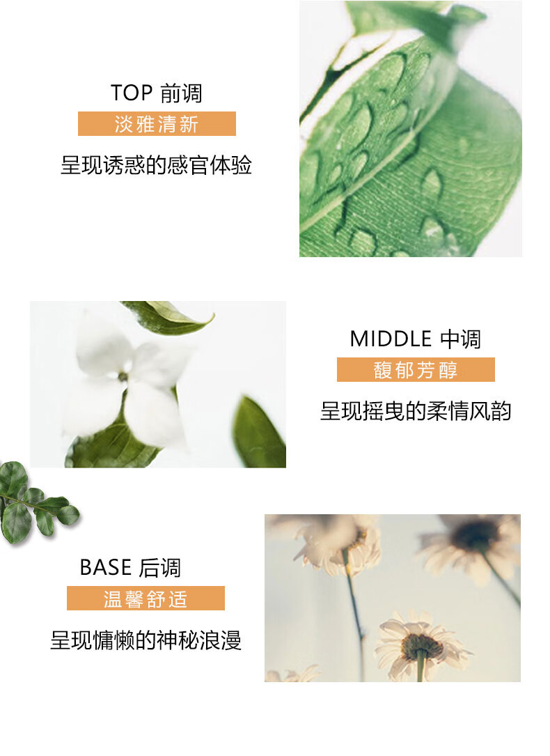 328494aecb16222a.jpg