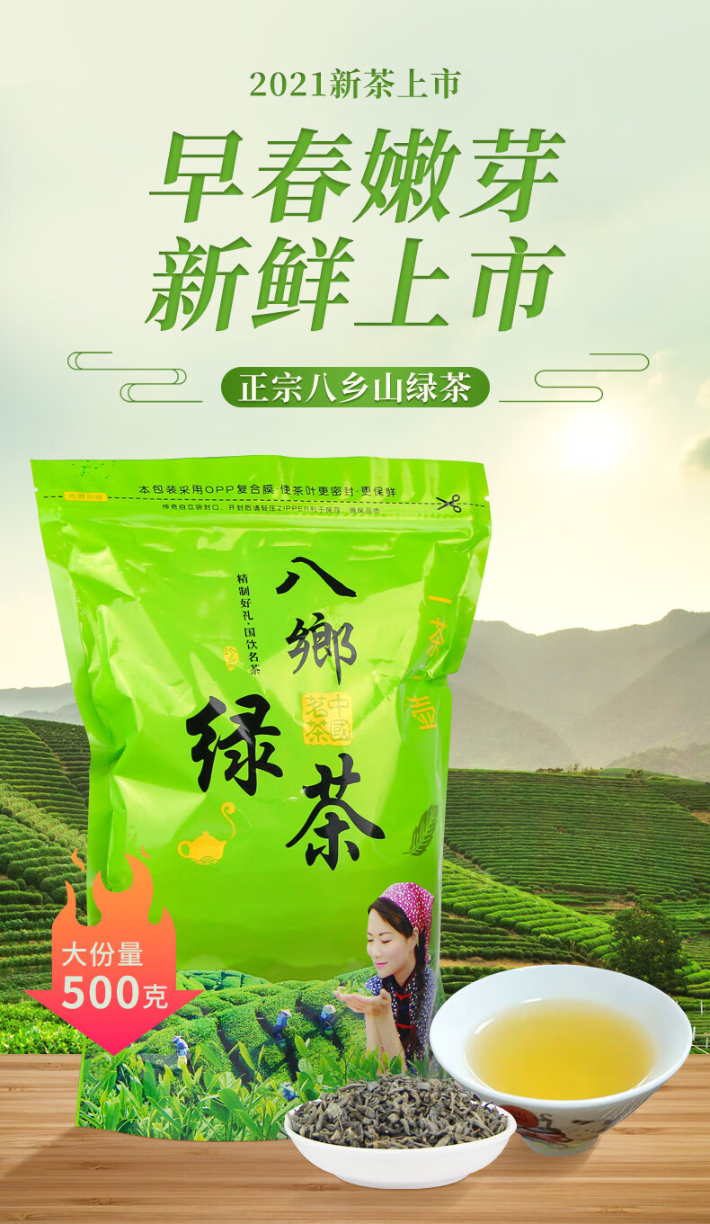 茗老汉 紫金绿茶 500g/袋 2021新茶梅州八乡山客家炒茶广东丰顺 绿茶
