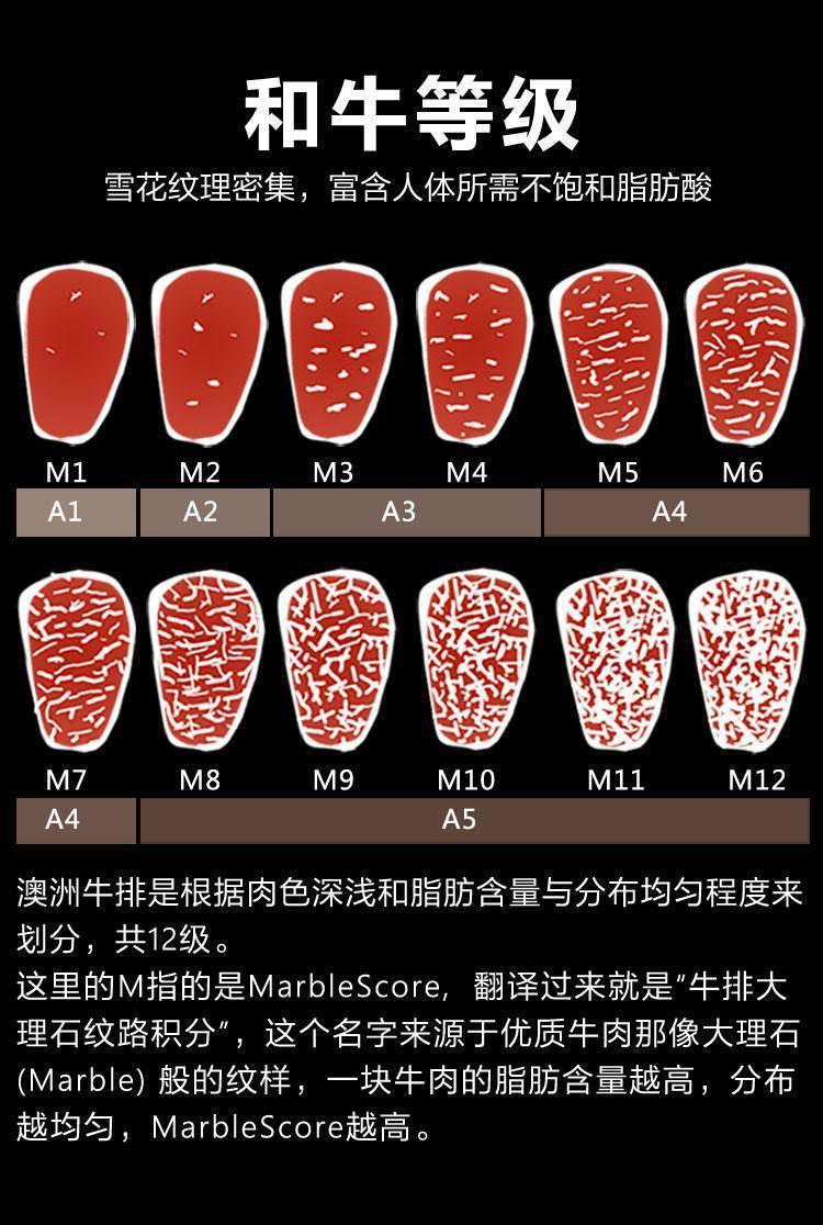 橙伯乐m9澳洲雪花和牛肉谷饲原切保乐肩牛排肉儿童黑椒菲力西冷m12