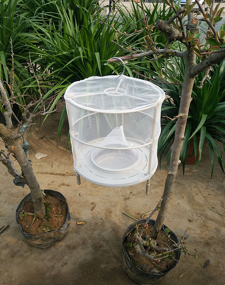 捕蝇器灭蝇器捕蝇笼苍蝇杀手自动捕蝇器神器抓苍蝇捕苍蝇工具苍蝇 可