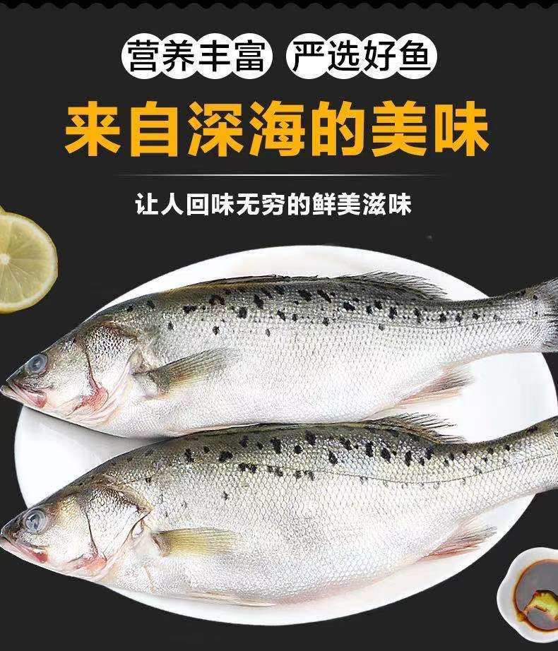新鲜大鲈鱼海鲈鱼大海鱼海鲜水产花鲈鱼非开背清蒸鲈鱼红烧油泼2条装