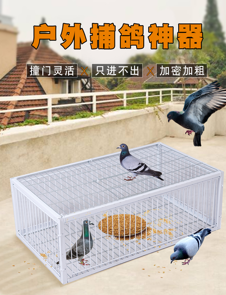 梦雷宠 捕鸽神器加密天落笼只进不出抓鸽子笼自动救援户外捕鸽子笼