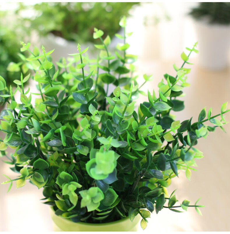 小摆件创意室内客厅办公桌面花卉植物盆景绿色塑料波纹瓶小尤加利套装