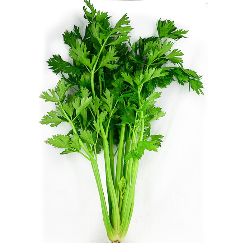 芹菜西芹新鲜蔬菜榨汁宝宝孕妈放心食材生鲜精选装带叶3斤