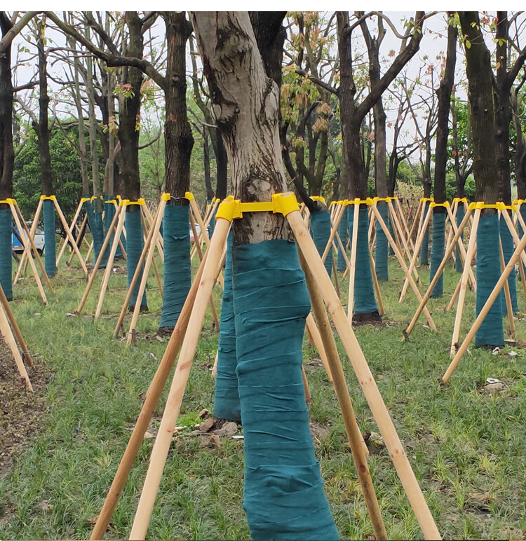 树木支撑套杯固定器套件杆架大树绿化撑架树架套杯树撑绑带支撑架 4根