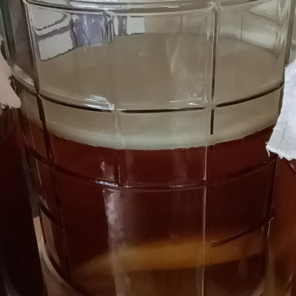 上海可发正宗红茶菌传统老胃宝15kg袋红茶菌老胃宝海宝水太岁肉灵芝34