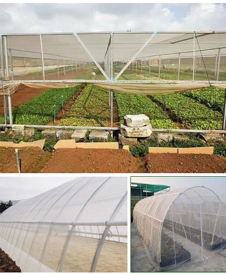 防虫网大棚蔬菜养猪场防蚊蝇果园菜园养殖围加厚密尼龙网罩锐衡60目