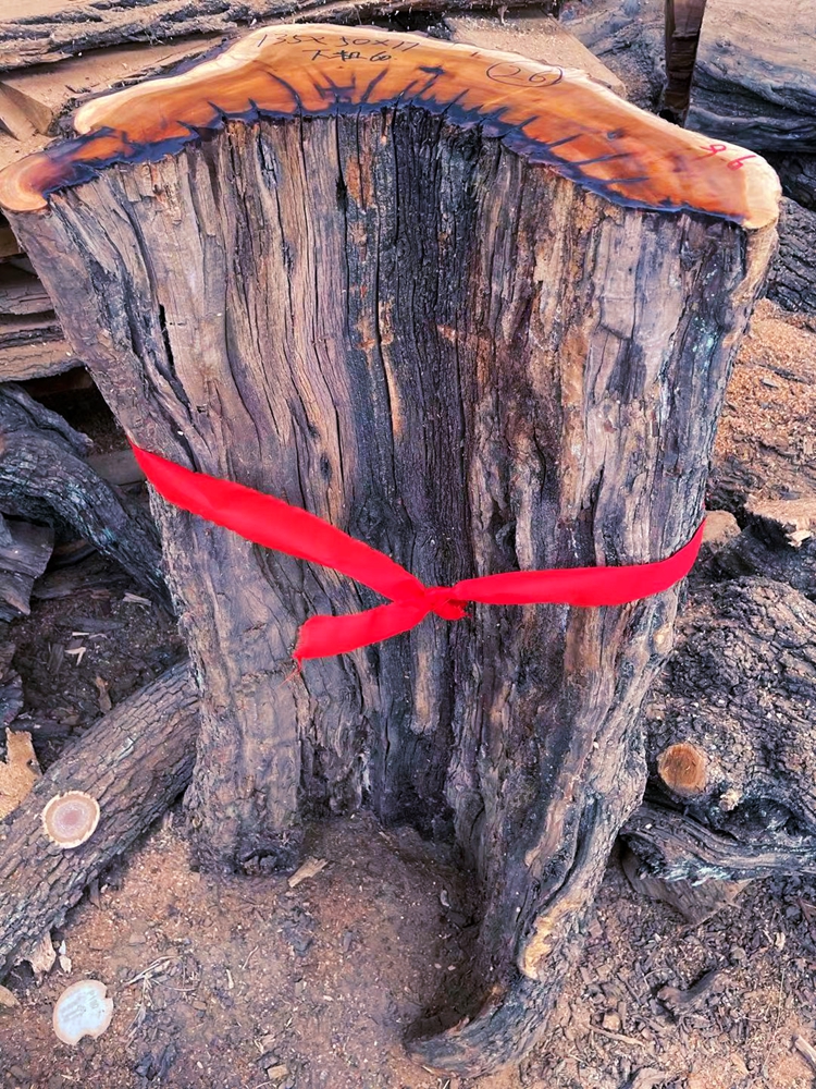 雷击枣木原木雷劈千年枣树道教法器 自然雷纹真正雷击木 雷击桃木 t