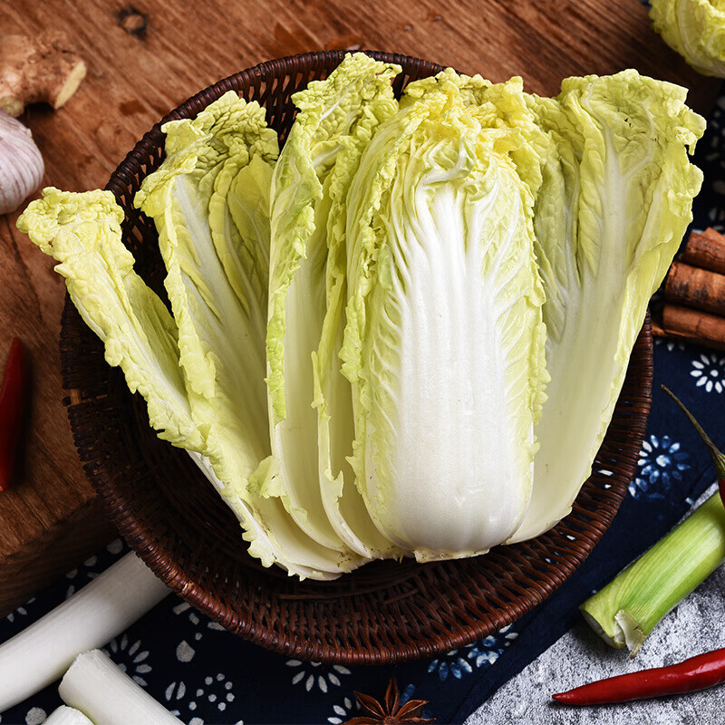 大白菜青菜蔬菜新鲜10斤当季农家自种黄心菜时令