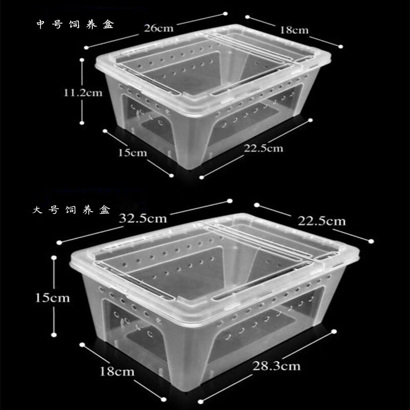 白玉蜗牛饲养盒 蜗牛盒子宠物饲养箱白玉蜗牛小中大号专用养殖盒爬虫