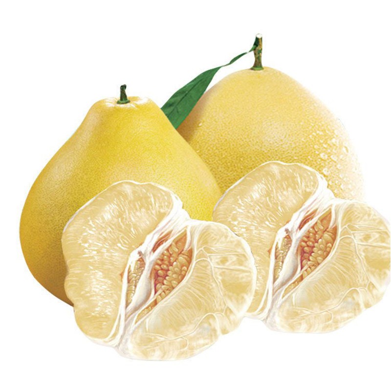 江西南康甜柚斋婆柚 赣南柚子沙田柚新鲜水果 整箱20