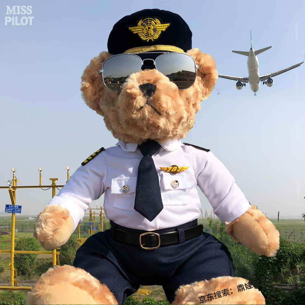 鼎娃 建军节礼物国航东航南航海厦航春秋深上制服机长熊飞行员公仔