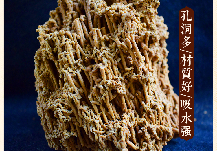 天然芦管石上水石吸水石植物化石假山盆景微景观摆件 麦管石 10公分