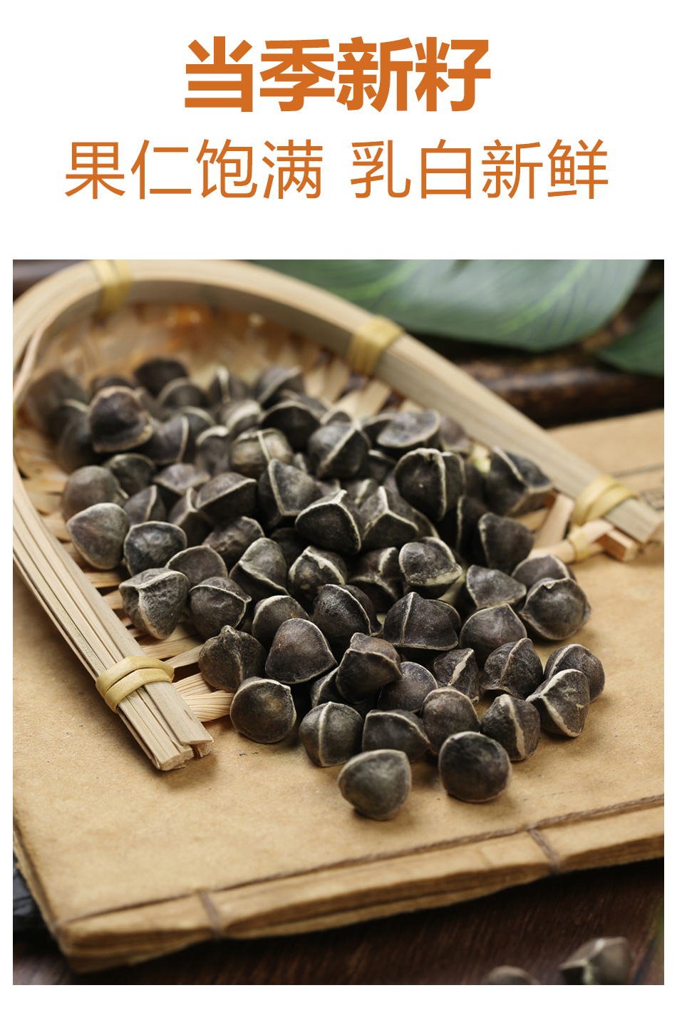 同仁堂辣木籽新鲜特级辣木子果的功效食用茶辣木印度