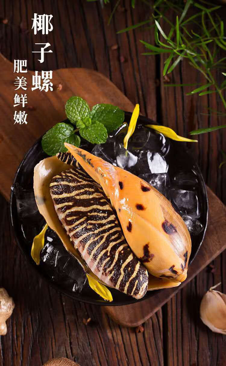 大黄螺鲜活速冻椰子螺新鲜瓜螺大海螺油螺海鲜水产圣梦鸿特10001100g