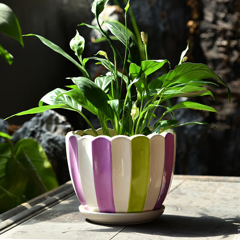 花盆陶瓷简约家用带托盘塑料绿萝多肉花盆 单个桃花源记花盆 小号